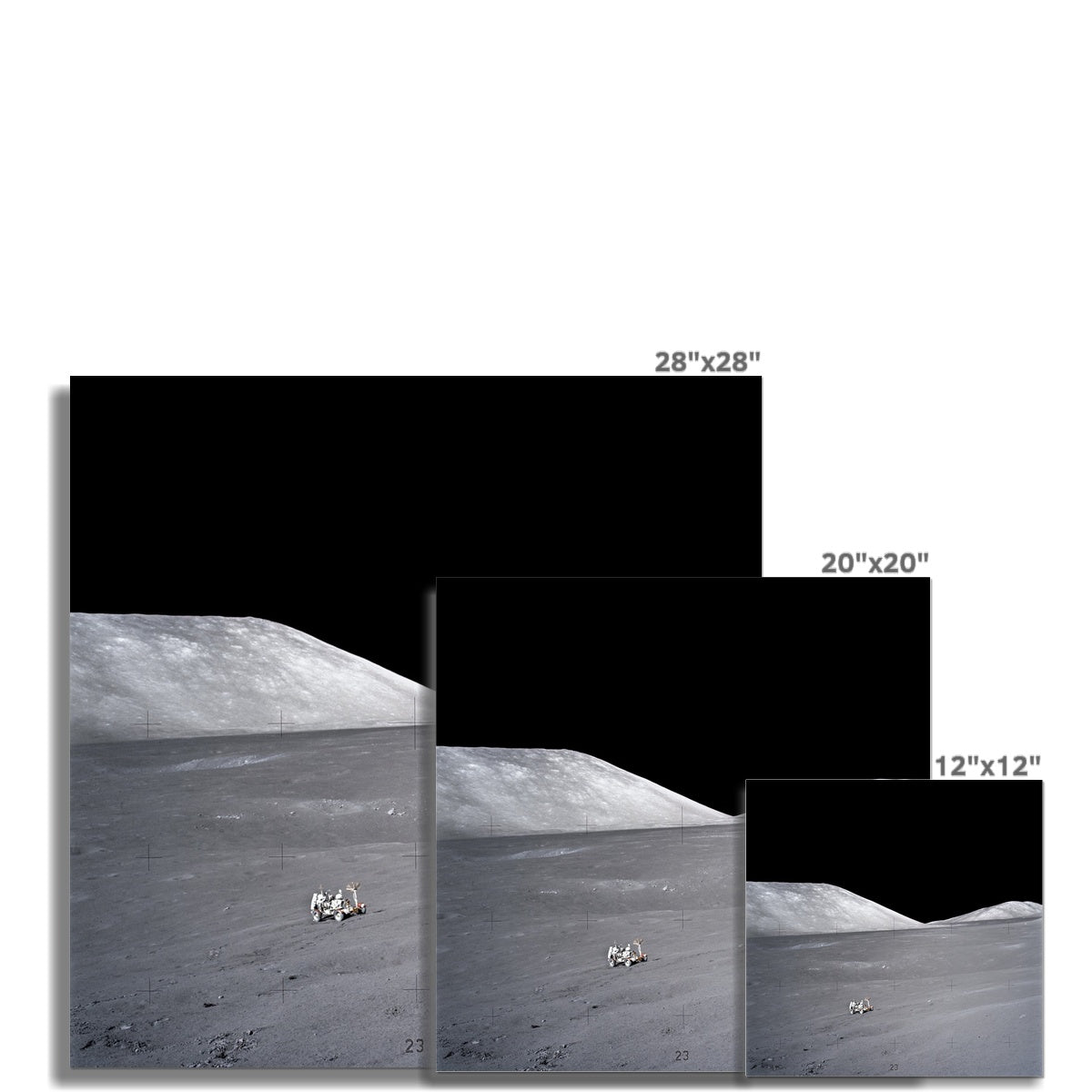 Rover’s Reach Photo Art Print