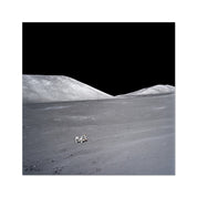 Rover’s Reach Photo Art Print