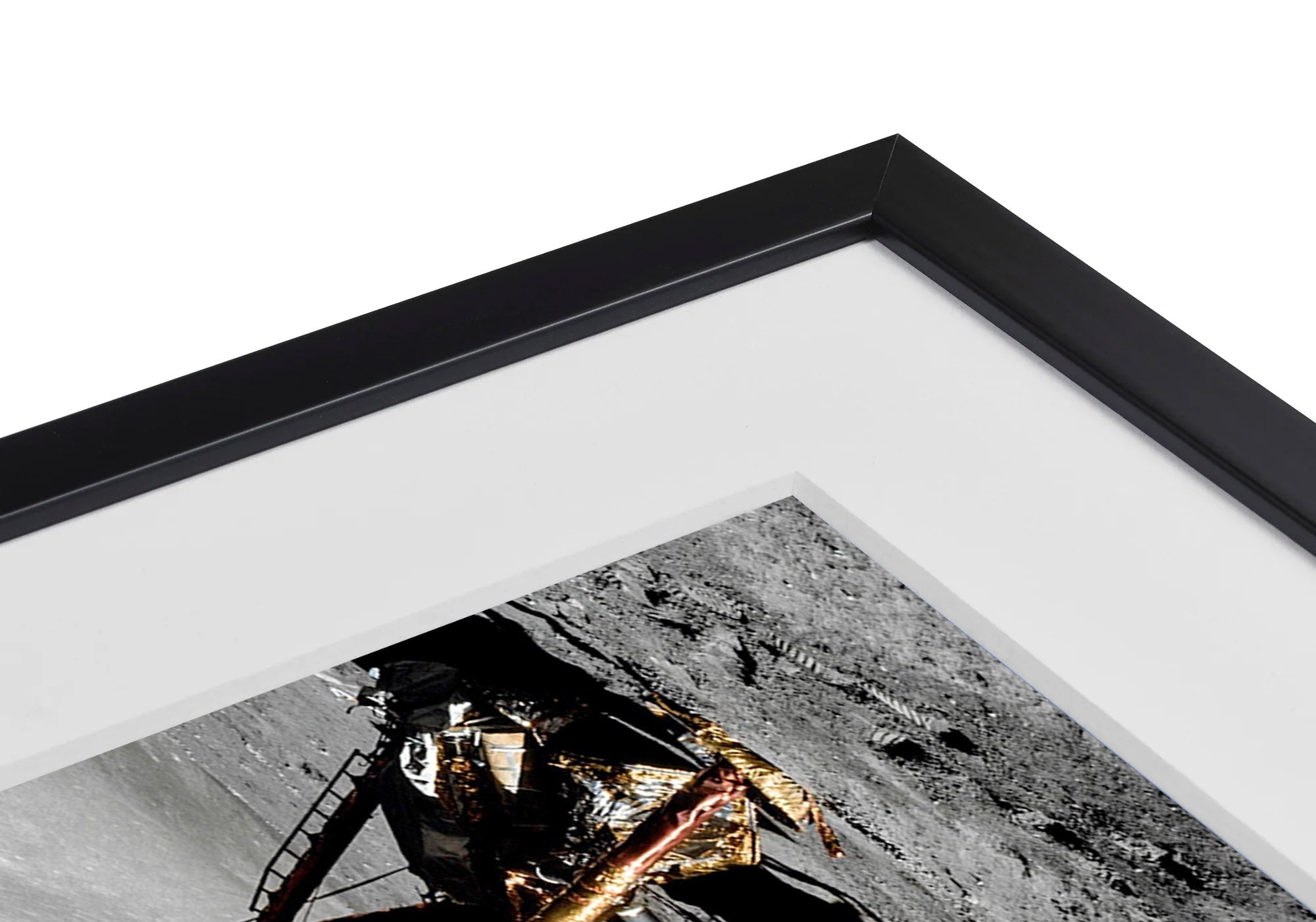 framedcloseup.jpg
