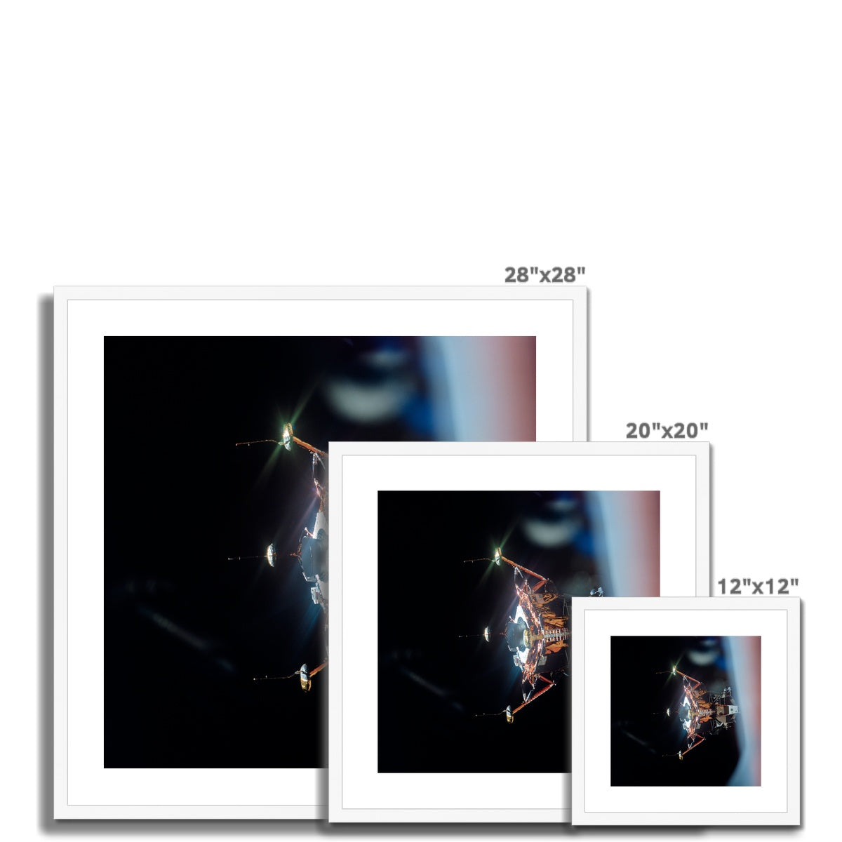 Sideways Eagle Framed & Mounted Print