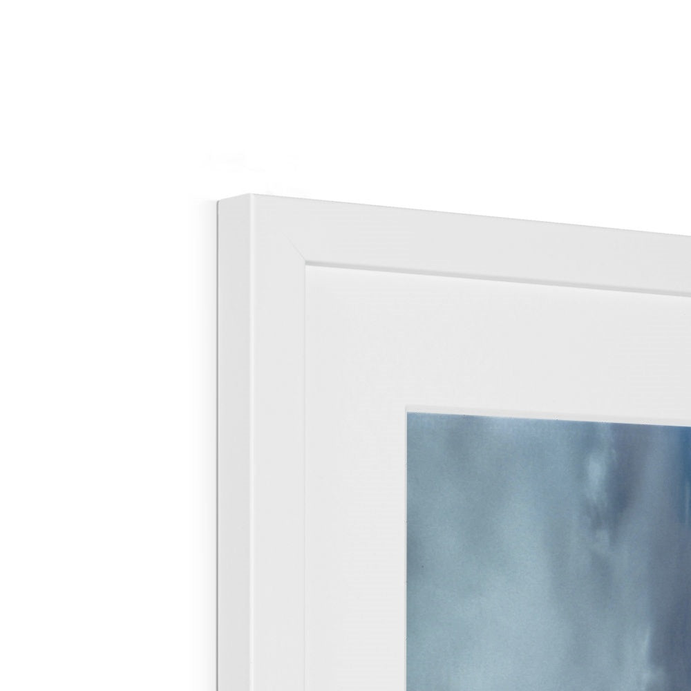 Spider's Prey Framed & Mounted Print