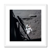 Shepard's Salute Framed & Mounted Print