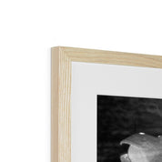 Bean's Walk Framed & Mounted Print