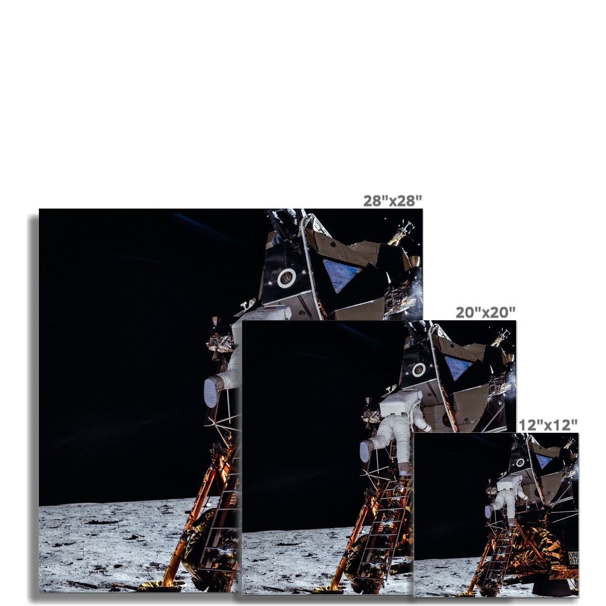 Aldrin's Descend Photo Art Print