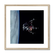 Spider's Prey Framed & Mounted Print