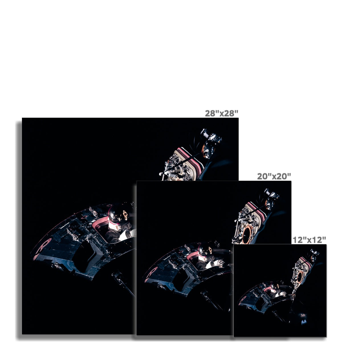 Peek-A-Boo Photo Art Print