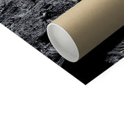 Aldrin's EVA Photo Art Print