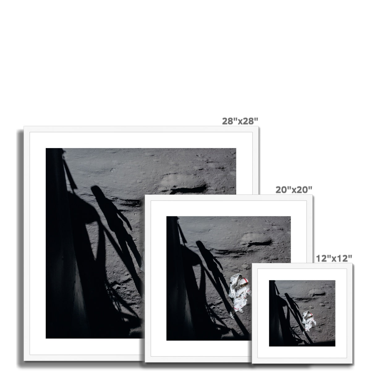 Shepard's Salute Framed & Mounted Print