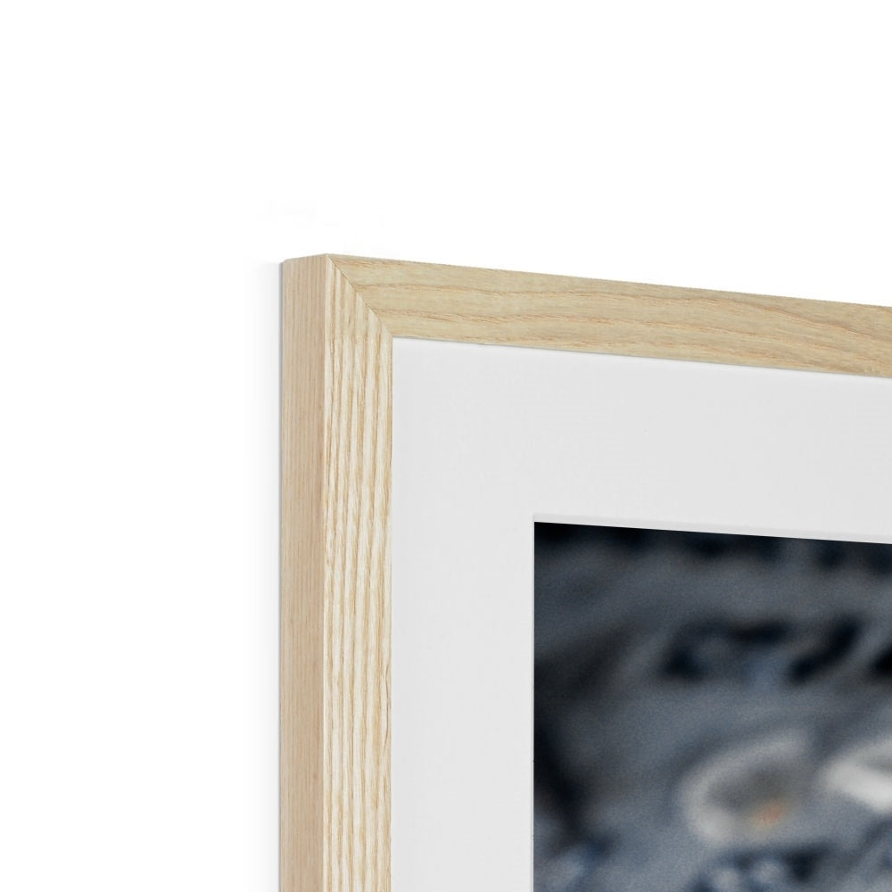 Instrument Panel Framed & Mounted Print