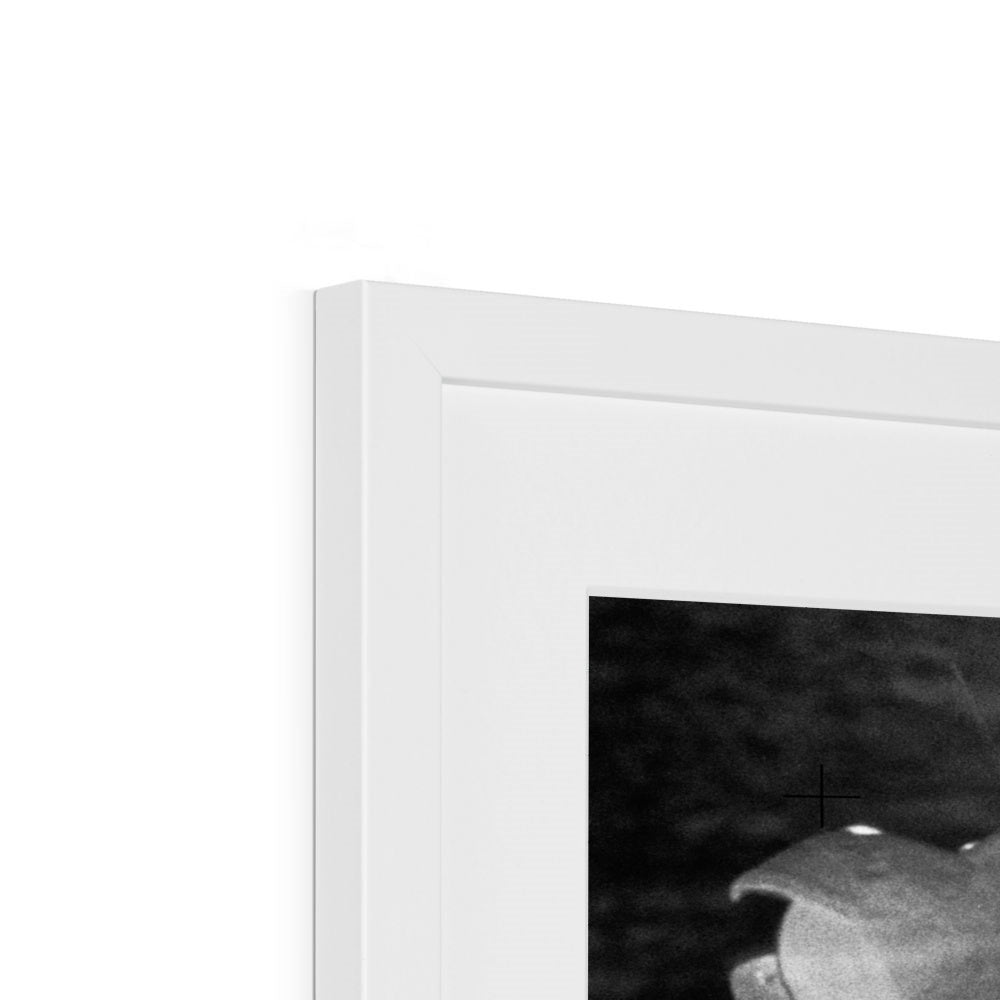 Bean's Walk Framed & Mounted Print