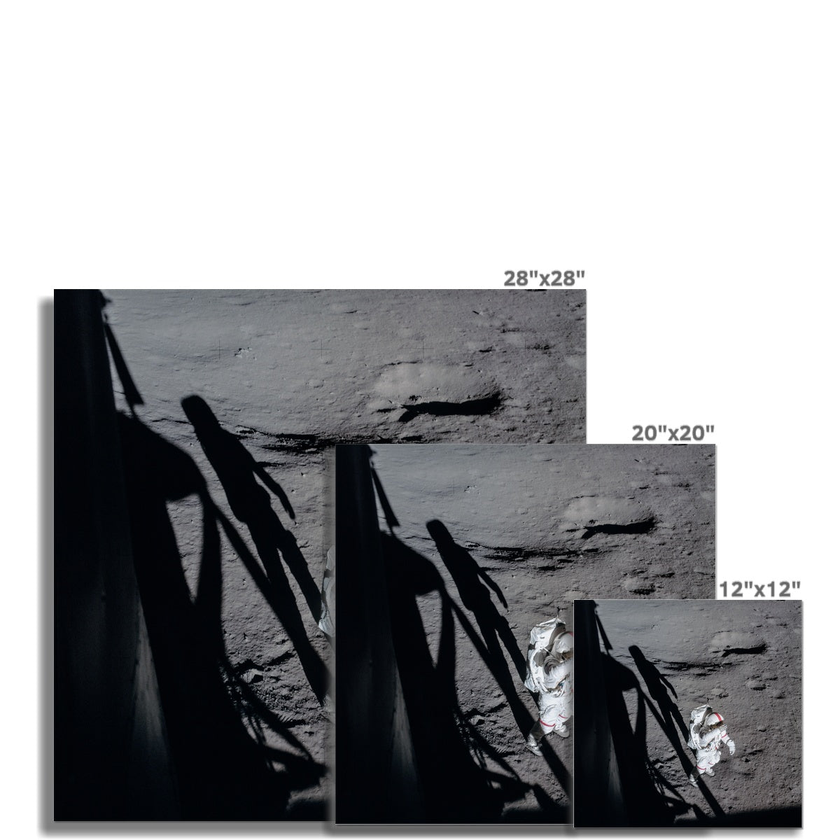 Shepard's Salute Photo Art Print