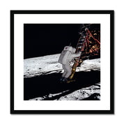 Eagle Descent Framed & Mounted Print