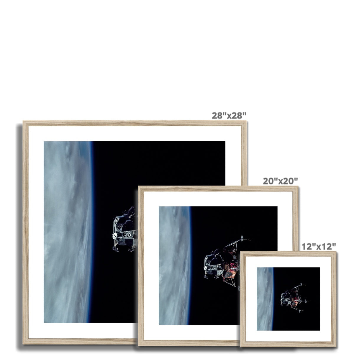 Spider's Prey Framed & Mounted Print