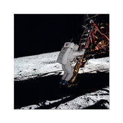 Eagle Descent Photo Art Print