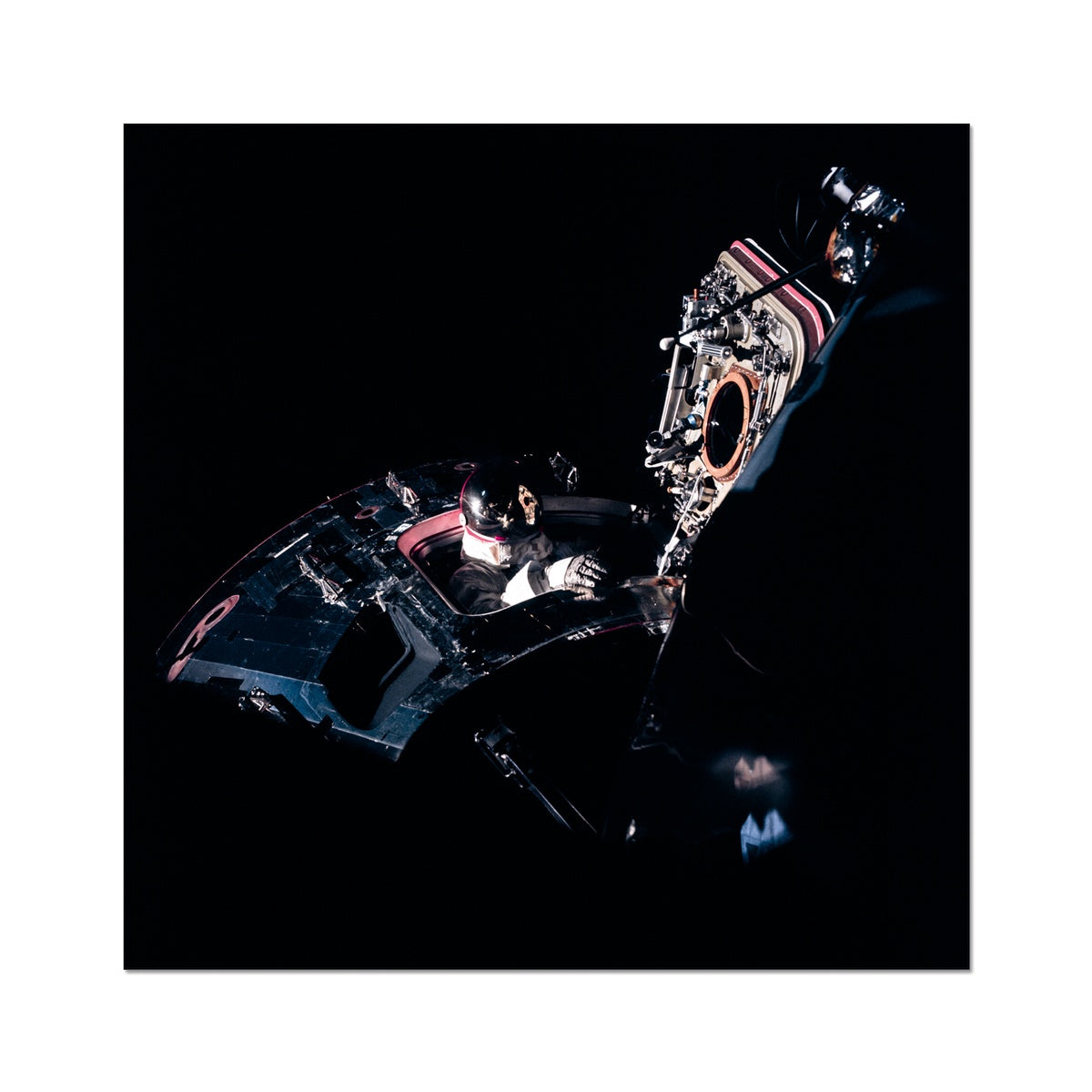 Peek-A-Boo Photo Art Print