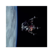 Spider's Prey Photo Art Print