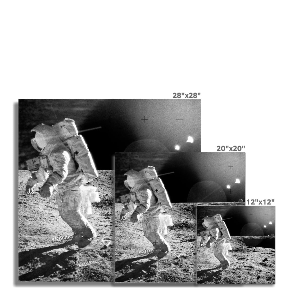 Bean's Walk Photo Art Print