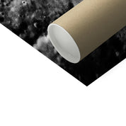 Stratton Encounter Photo Art Print