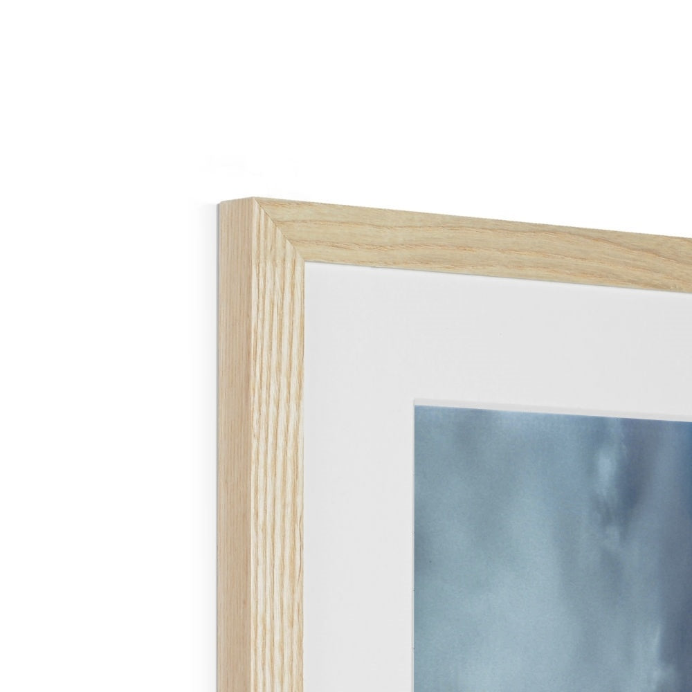 Spider's Prey Framed & Mounted Print