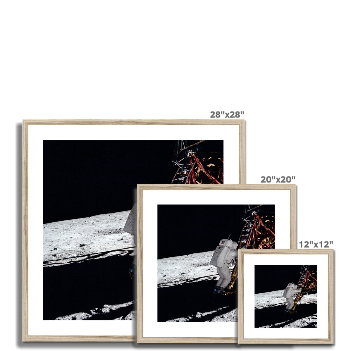 Eagle Descent Framed & Mounted Print