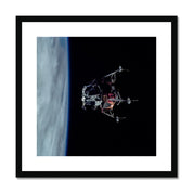 Spider's Prey Framed & Mounted Print