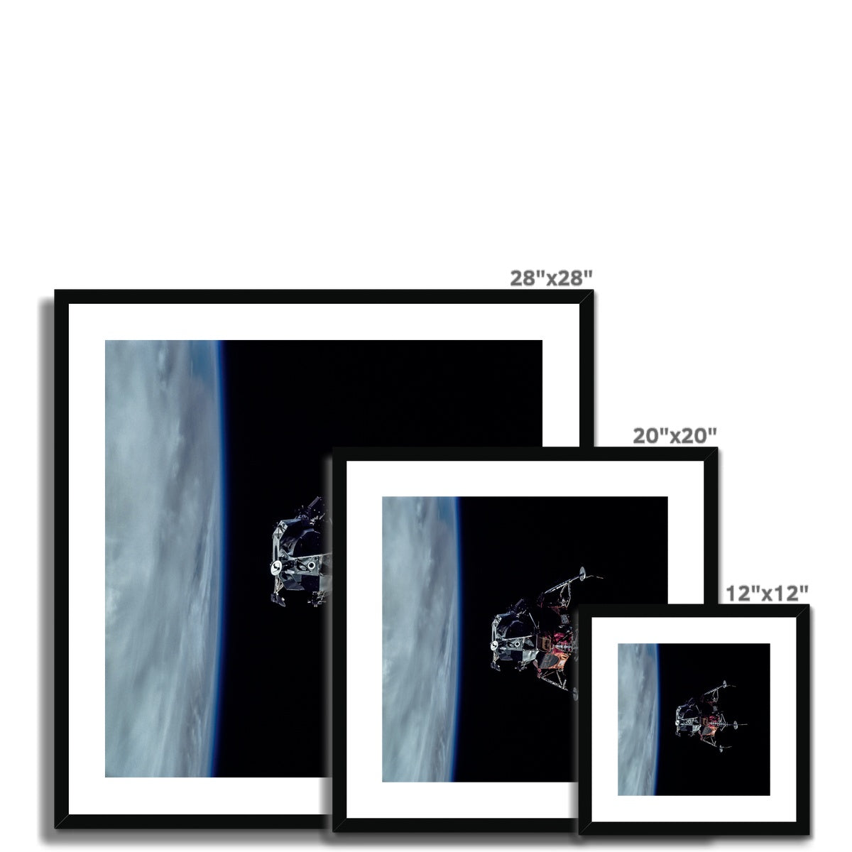 Spider's Prey Framed & Mounted Print