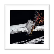 Eagle Descent Framed & Mounted Print