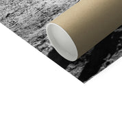 Bean's Walk Photo Art Print