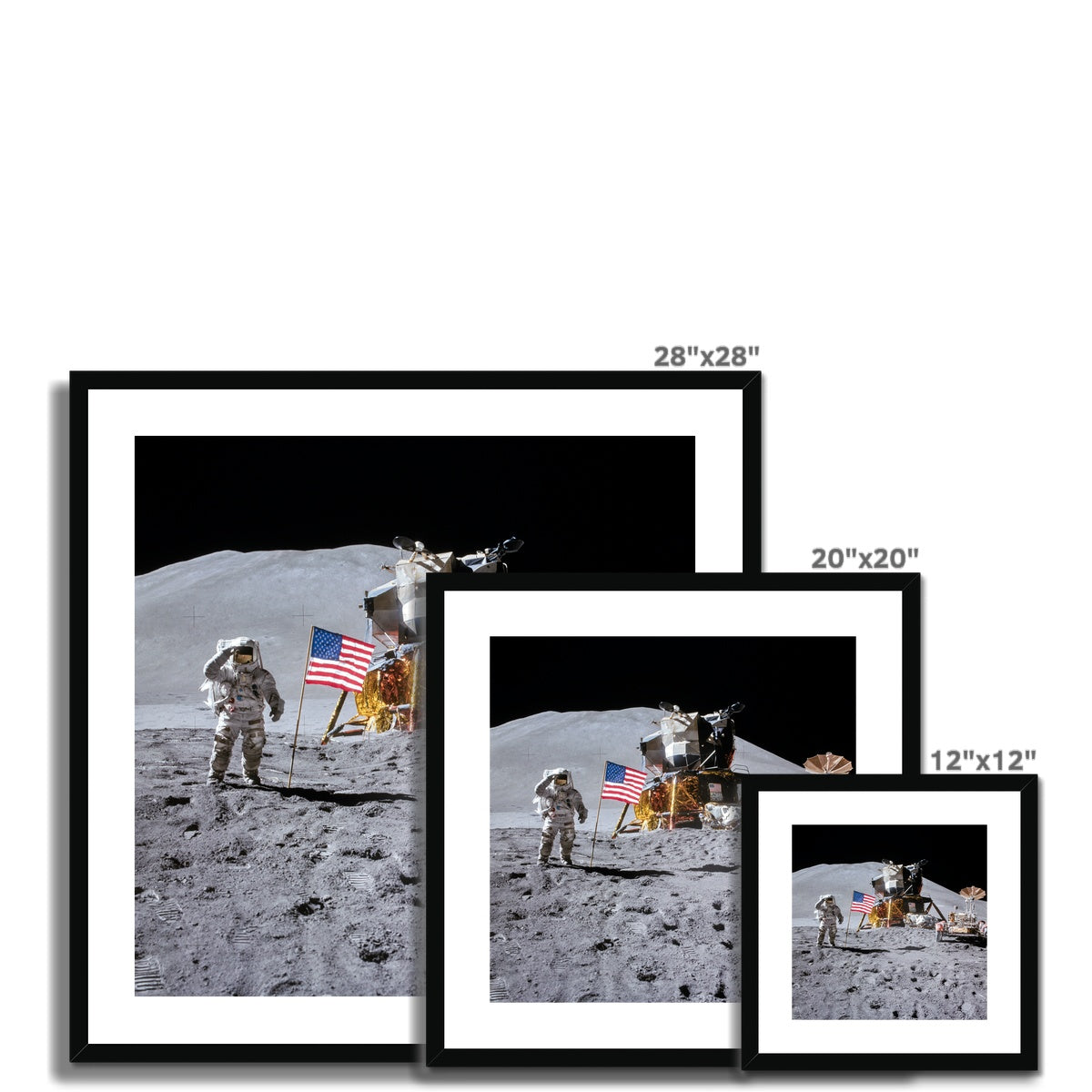 Space Salute Framed & Mounted Print