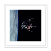 Spider's Prey Framed & Mounted Print