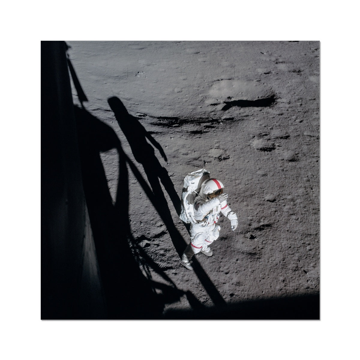 Shepard's Salute Photo Art Print