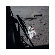 Shepard's Salute Photo Art Print