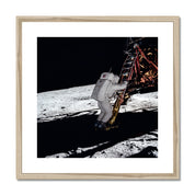 Eagle Descent Framed & Mounted Print