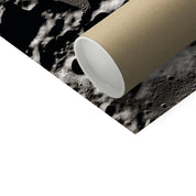 Hello Collins Photo Art Print