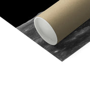 First Earthrise Photo Art Print