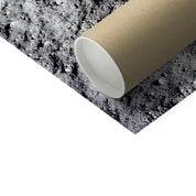 Aldrin's Footprint Photo Art Print