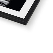 Hello Collins Framed & Mounted Print