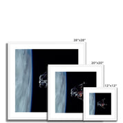 Spider's Prey Framed & Mounted Print