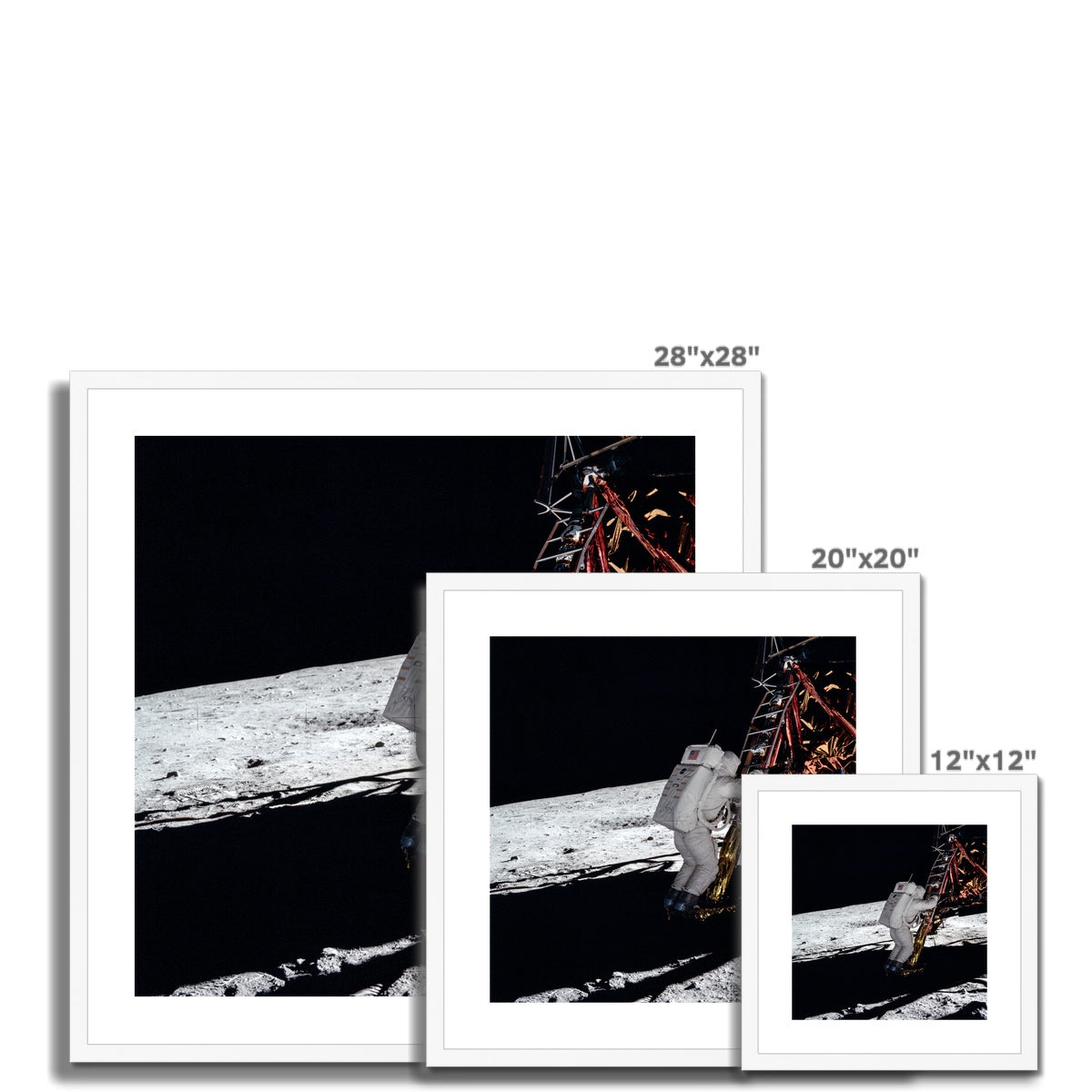 Eagle Descent Framed & Mounted Print