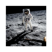Aldrin's EVA Photo Art Print