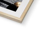 Aldrin's EVA Framed & Mounted Print