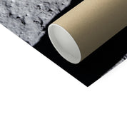 Armstrong's Shadow Photo Art Print