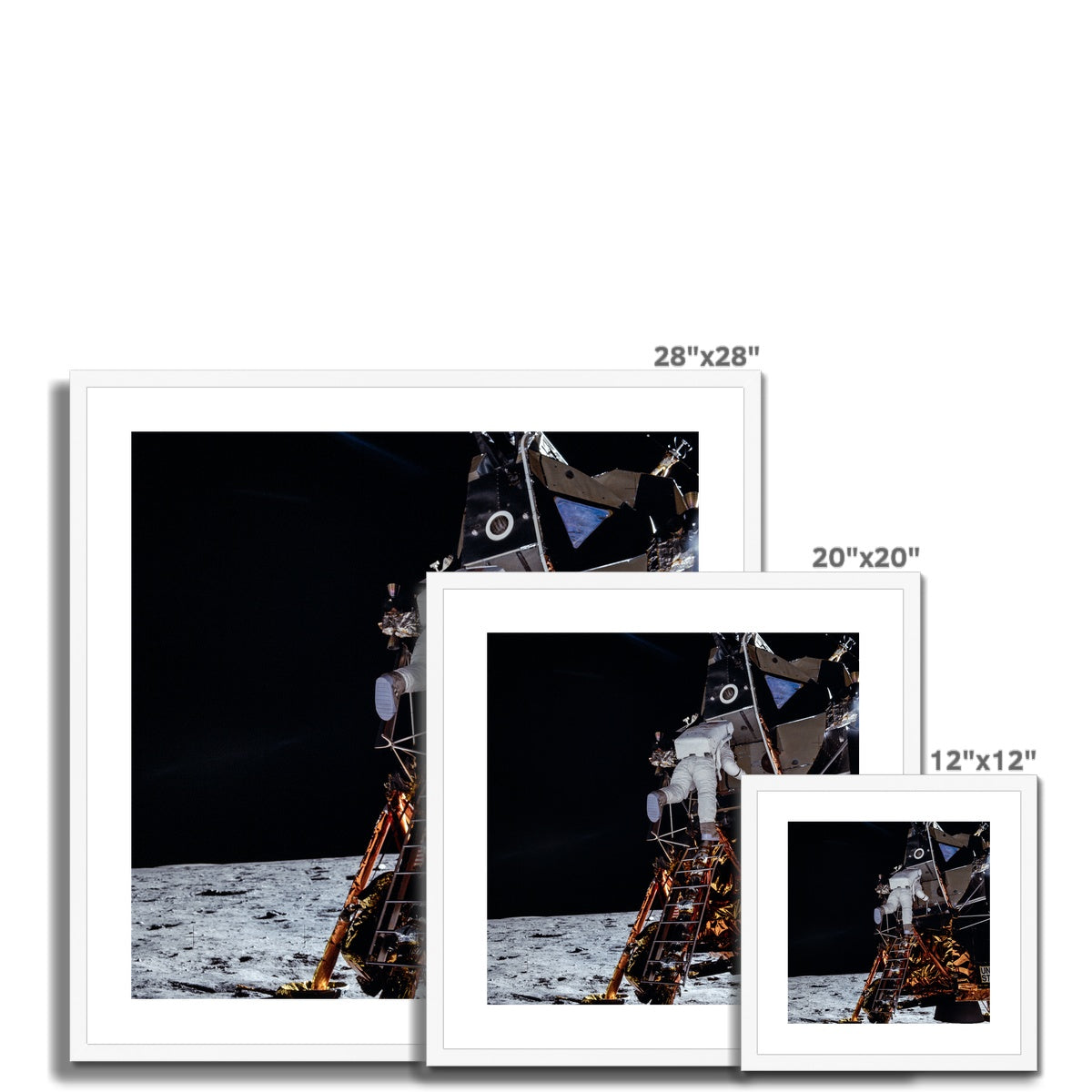 Aldrin's Descend Framed & Mounted Print