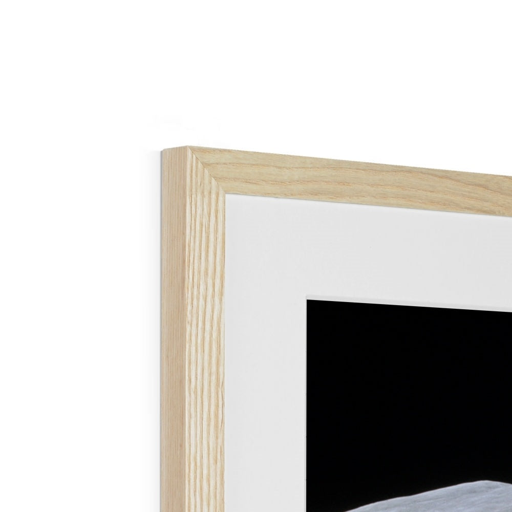Space Salute Framed & Mounted Print
